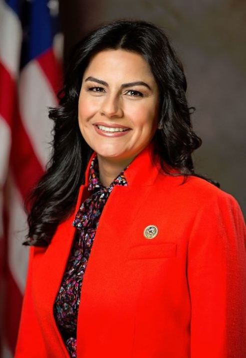 Politician Image