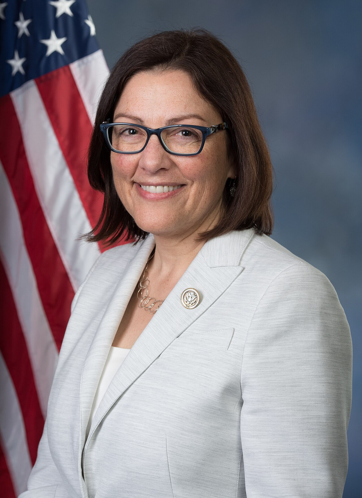 Congress pfp