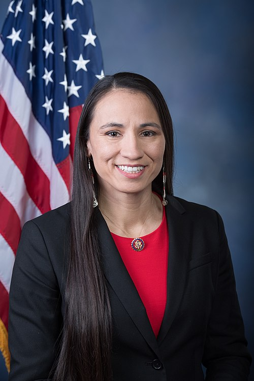 Politician Image