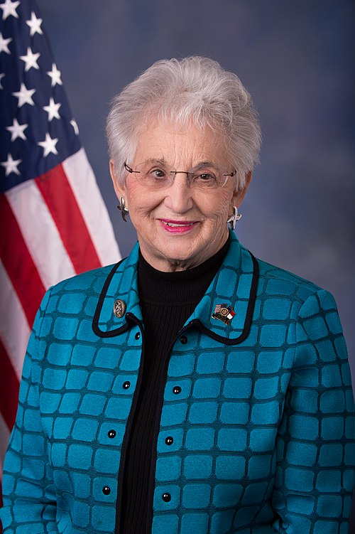 Politician Image