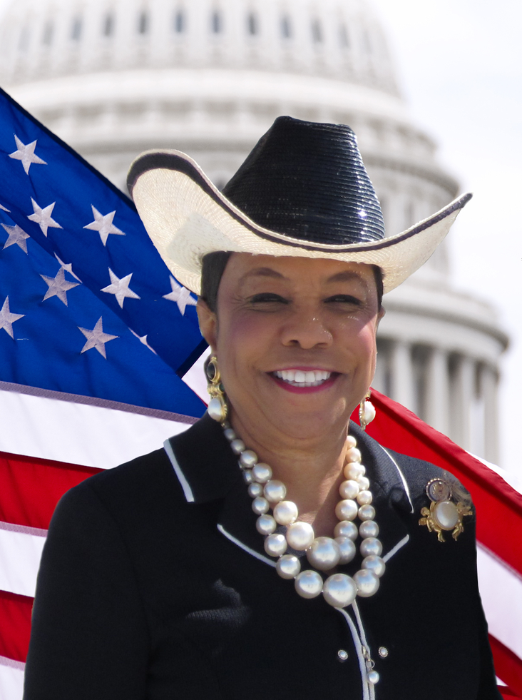Congress pfp