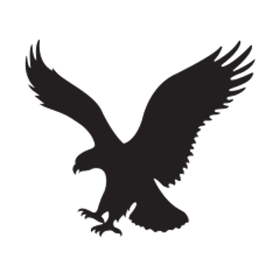 AEO logo