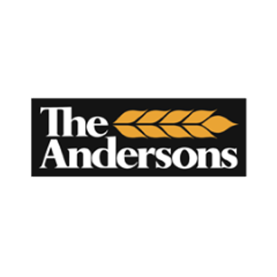 ANDE logo
