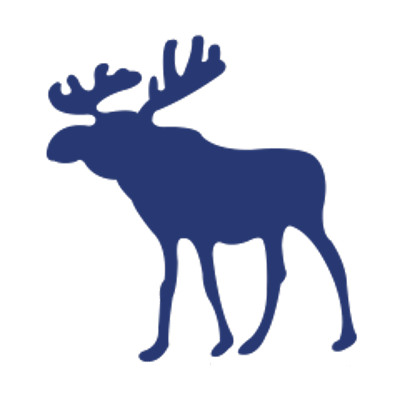 ANF logo