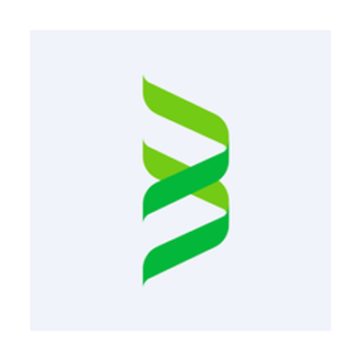 BRLS logo