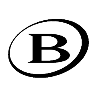 BYD logo