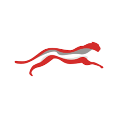 CTNT logo