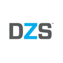 DZSI logo