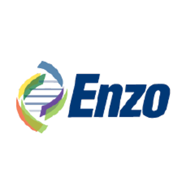 ENZ logo
