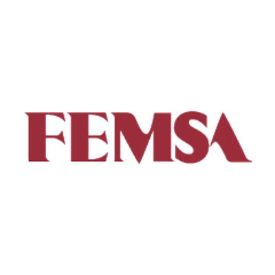 FMX logo