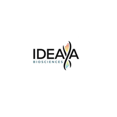 IDYA logo