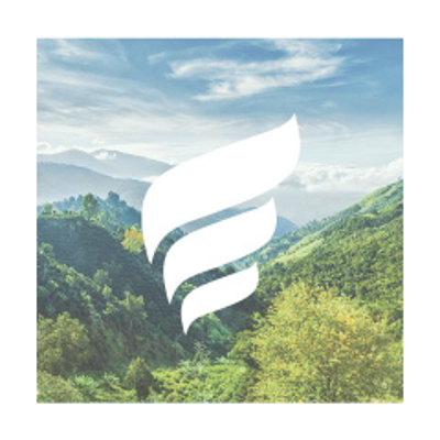 NFE logo