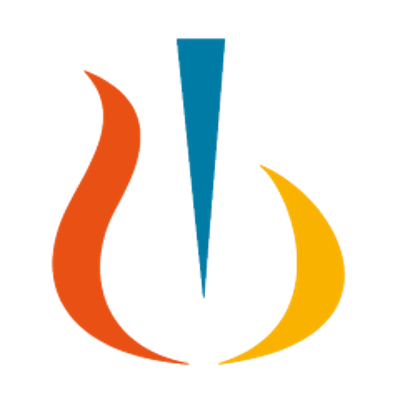 NVS logo
