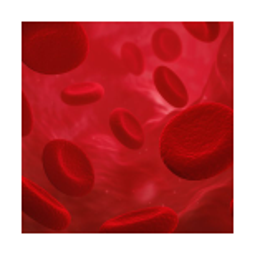 RUBY logo