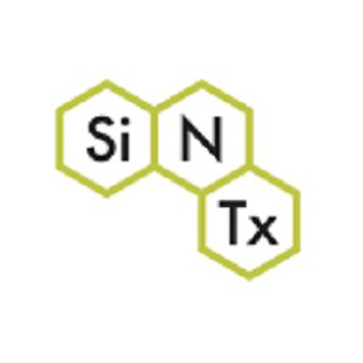 SINT logo