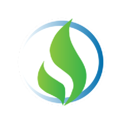 SLNG logo