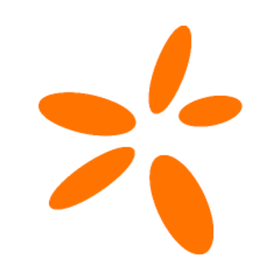 SNN logo