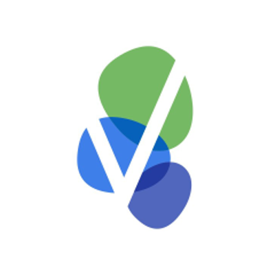 VSTM logo